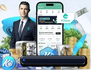 play-online-ppgsoft.com.cn APP 深度功能